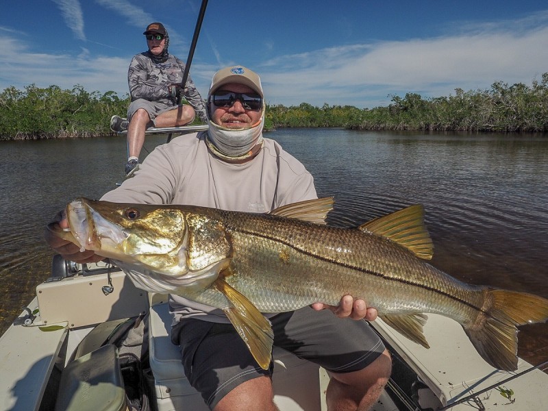 Fly Fishing for Snook in the Everglades National Park and Florida Keys.