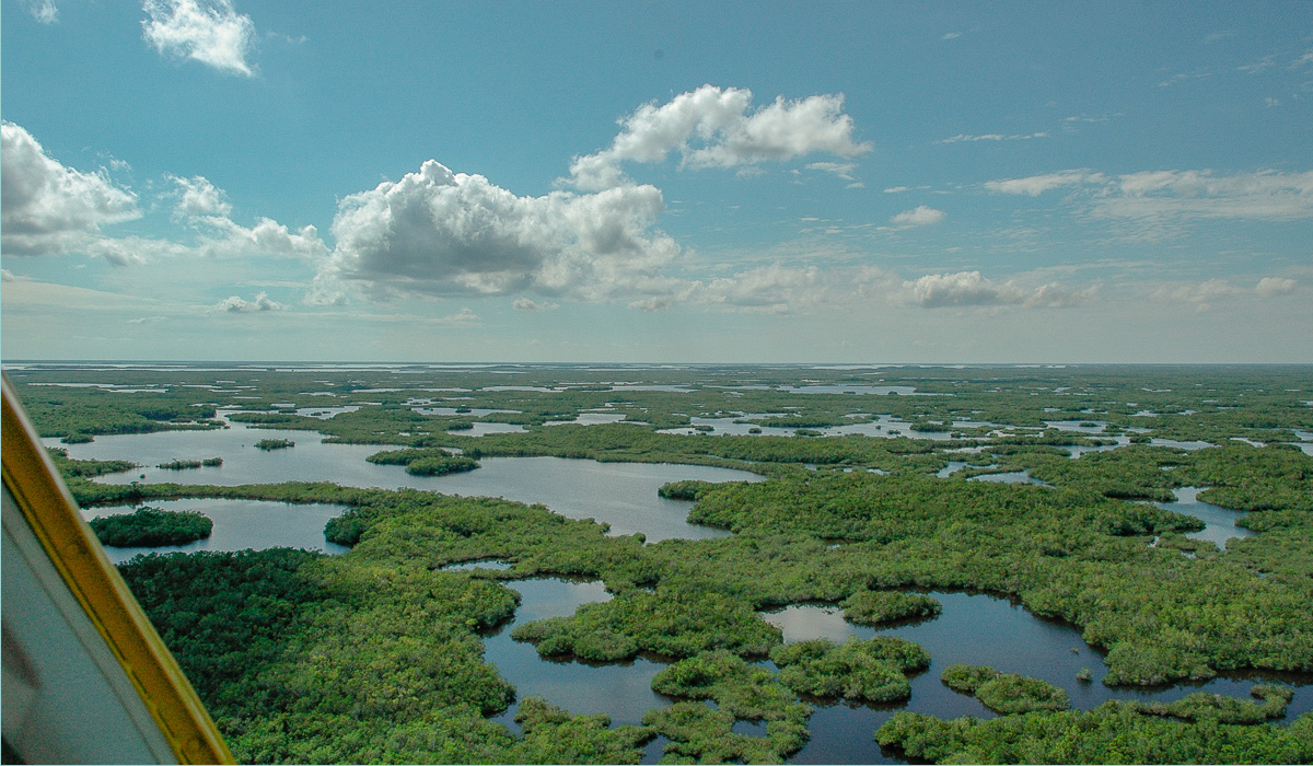 Everglades Aerial of Hells Bay