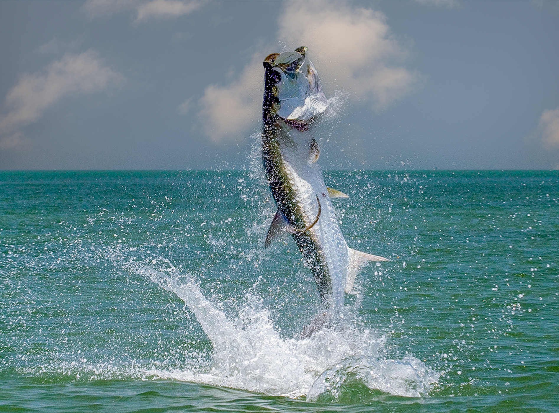 Fly fishing for tarpon in the Florida Keys - Runar Kabbe with Capt Geoff Colmes