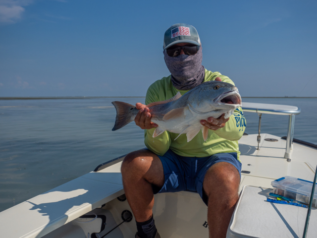 Redfish in the Florida Everglades - Capt Matt Pribyl